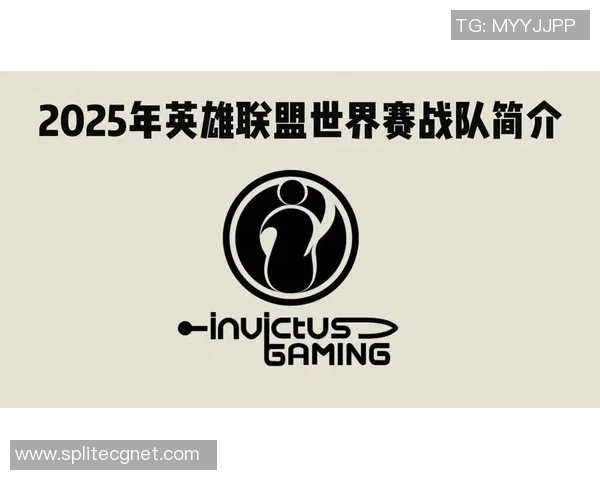 英雄联盟灵活性排行榜揭晓IG战队荣登第六名引发热议