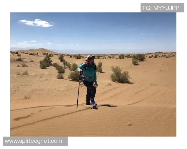 深度对话：周丽在CSGO世界中的成长与挑战之旅