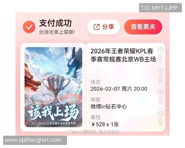 王者荣耀战术解析V5战队如何构建高效节奏体系