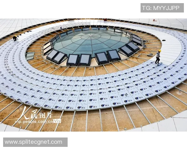 西安极限运动队与南京极限运动队赛后状态全面分析与对比