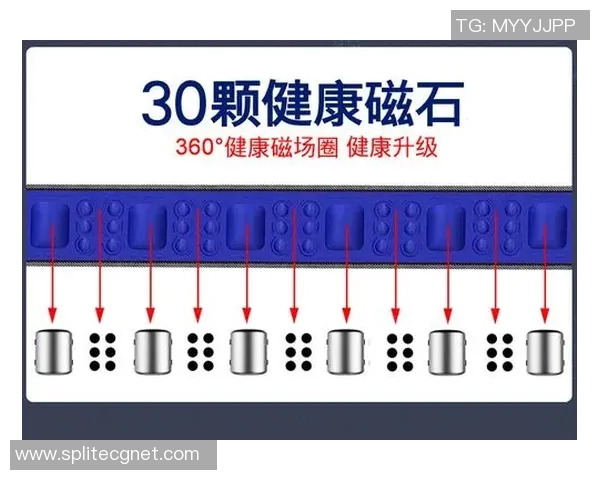 黑龙江健身器材租赁与维护服务指南 黑龙江健身器材租赁与维护服务指南