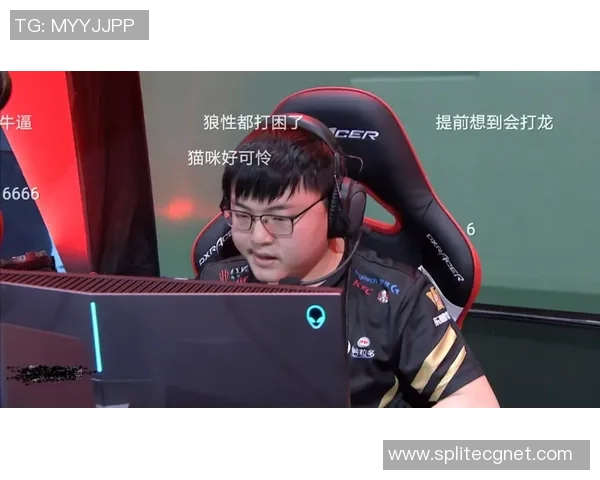 EDG与V5对决后分析团队协作的关键因素与战术执行 EDG与V5对决后分析团队协作的关键因素与战术执行