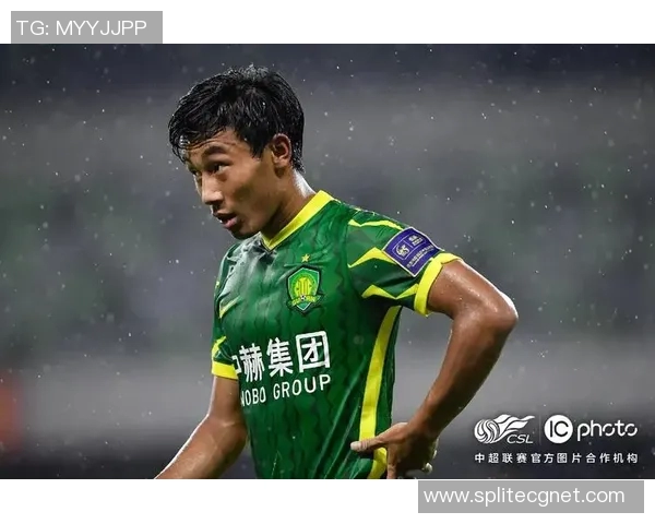 北京足球明星的传奇之路与狗狗的深厚情谊 北京足球明星的传奇之路与狗狗的深厚情谊